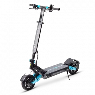 Electric Scooters