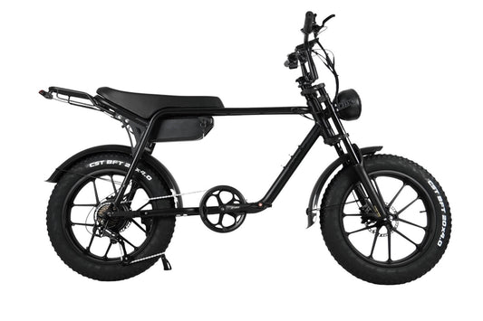 2024 NEW MAMBA SAHARA FAT TYRE EBIKE 750W 48V17AH